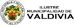 muni valdivia