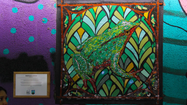 Inauguración Mosaico Ranita de Darwin